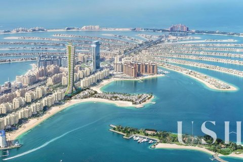 Appartement à Palm Jumeirah, Dubai, 4 chambres, 1068 m², № 39328 - photo 10