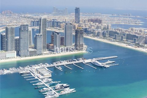 بانتهاوس في مرسى دبي, دبي 4 غرف نوم, 580 م² رقم 43353 - صورة 22