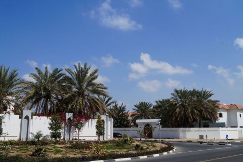 Al Safa - صورة 9