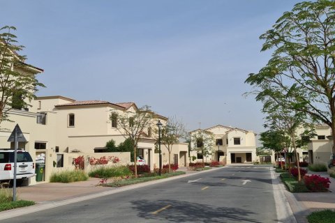Aseel - photo 8