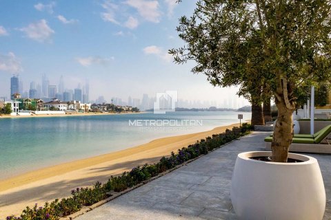 Villa à Signature Villas, Palm Jumeirah, Dubai, 6 chambres, 1364 m², № 72986 - photo 20