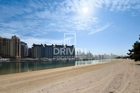 فيلا في Signature Villas, نخلة جميرا, دبي 6 غرف نوم , 1245.37 م² رقم 136888 - صورة 29
