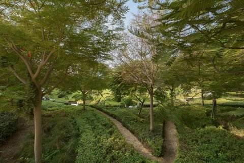 فيلا في عقارات جميرا للغواف, دبي 6 غرف نوم , 516.08 م² رقم 141148 - صورة 16